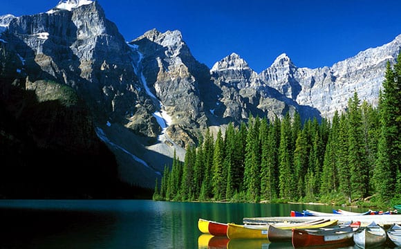 vacanze studio viva canada