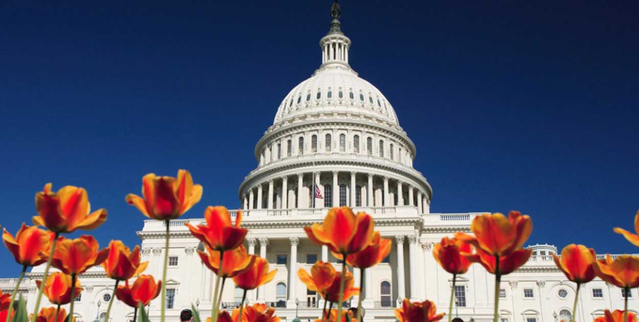 stati uniti usa viaggi studio viva