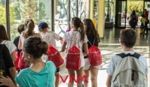 carta-io-studio-english-college-camp-viva