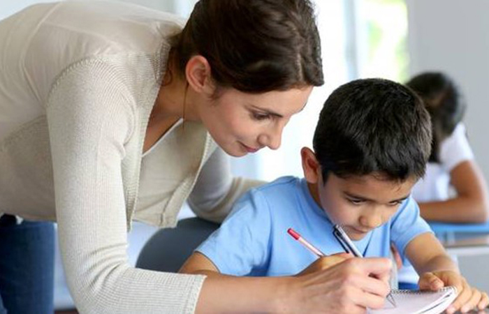 insegnante viva academy viva lingue