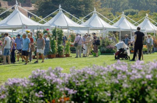 sussex egham fiori mostre