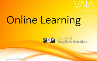 didattica a distanza viva lingue